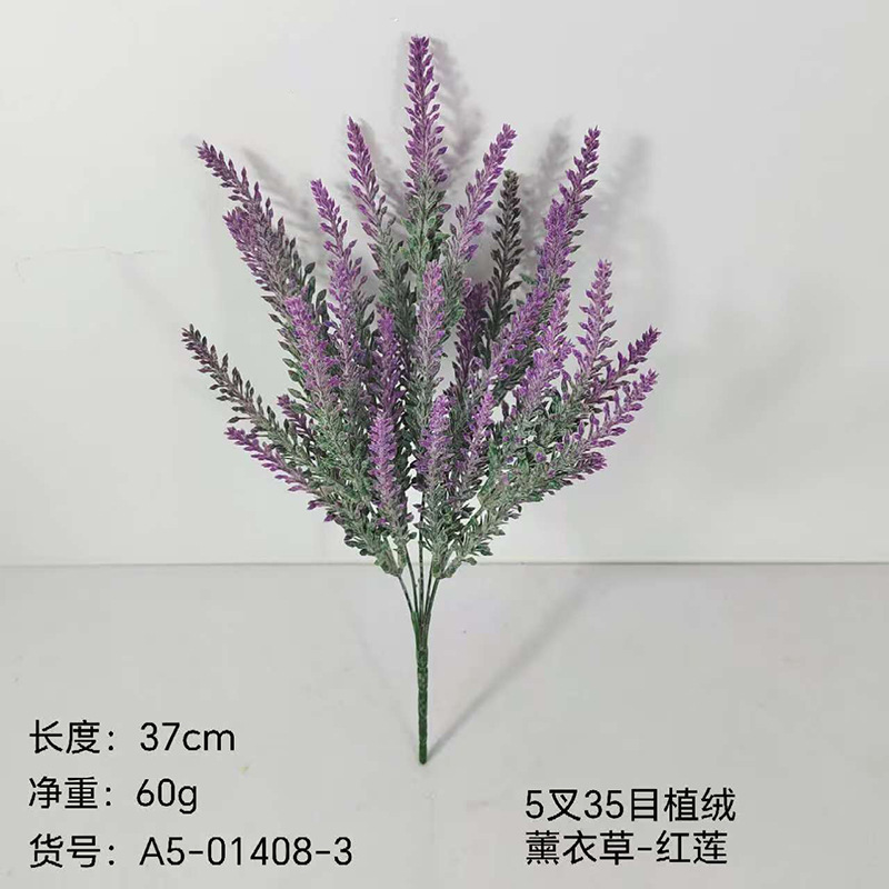 Lavanda de Lentium rojo 5 - rickle 35