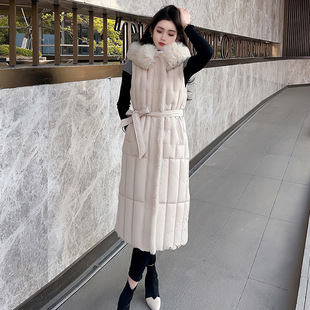 �����L������R�׿��米��2025�¿���|��ë�I�ﶬ�^ϥ��������