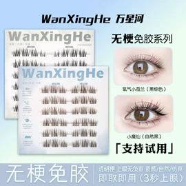 假睫毛;假睫毛镊子