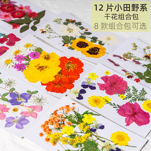 New Dried Flower Embossed Handmade DIY Material Bag Makeup Styling Personal Photo Face Makeup Plant Specimen Flower