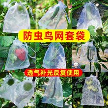 水果套袋防鸟防虫网袋葡萄无花果枇杷芒果苹果袋草莓保护袋子