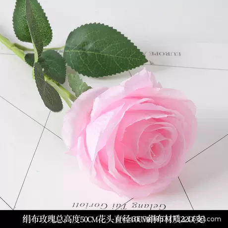 Silk rose pink