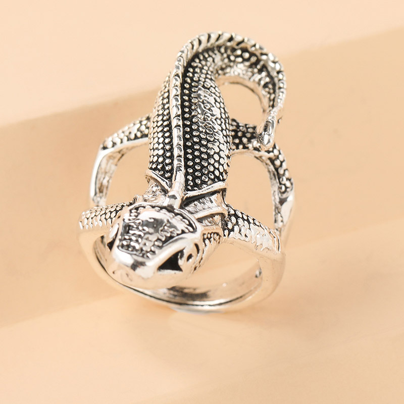 Retro Lizard Alloy Plating Rings display picture 4