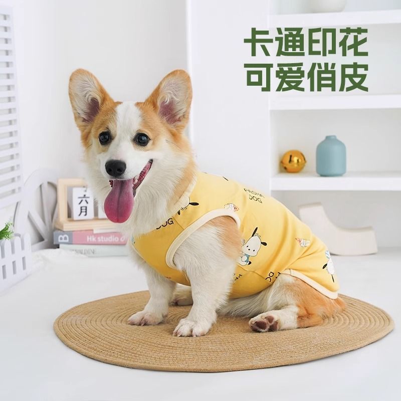 621300d6-5b52-4b8d-aab6-45ff2210cccb.jpe