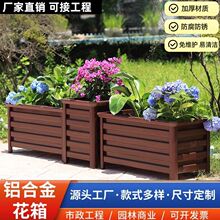 �X�Ͻ������ͥԺ�Nֲ��M����������̨���÷N�˰�ɫ���軨��