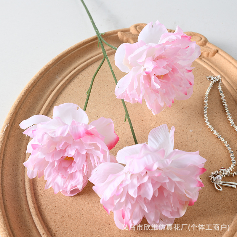 3头芍药粉色