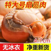 �o���ش�̖������ؐ�����r������r�r��Ұ��ؐ��ȫؐ���rֱ�l