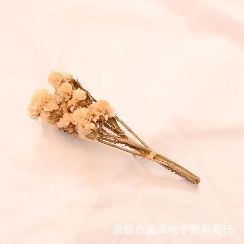 Flores secas transfronterizas ramo pequeño Cielo estrellado amante de la hierba nome olvides de la vida eterna decenas de millones de estrellas caja de regalo decoración florero pequeño ramo