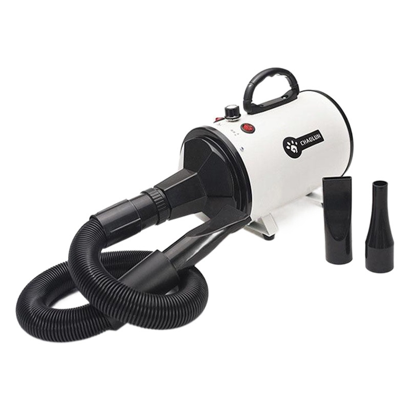 Secador de pelo para mascotas Chaolun cuidadosamente seleccionado Secador de pelo para mascotas de alta potencia para perros y gatos transfronterizos Secador de pelo para secar mascotas