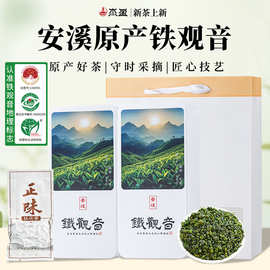 安溪铁观音乌龙茶叶正味闽南乌龙 小泡袋礼盒装会议办公用茶512g