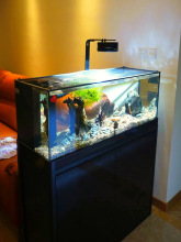 �~�״��������W�w�ַ������~������������Ϫ���׈A���w��ɲü��W