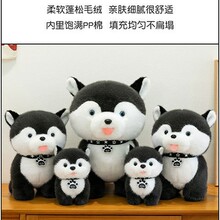 �羳������ż�ɐ۹���  �����к�ë�q���С��������˯�X����˯�Y
