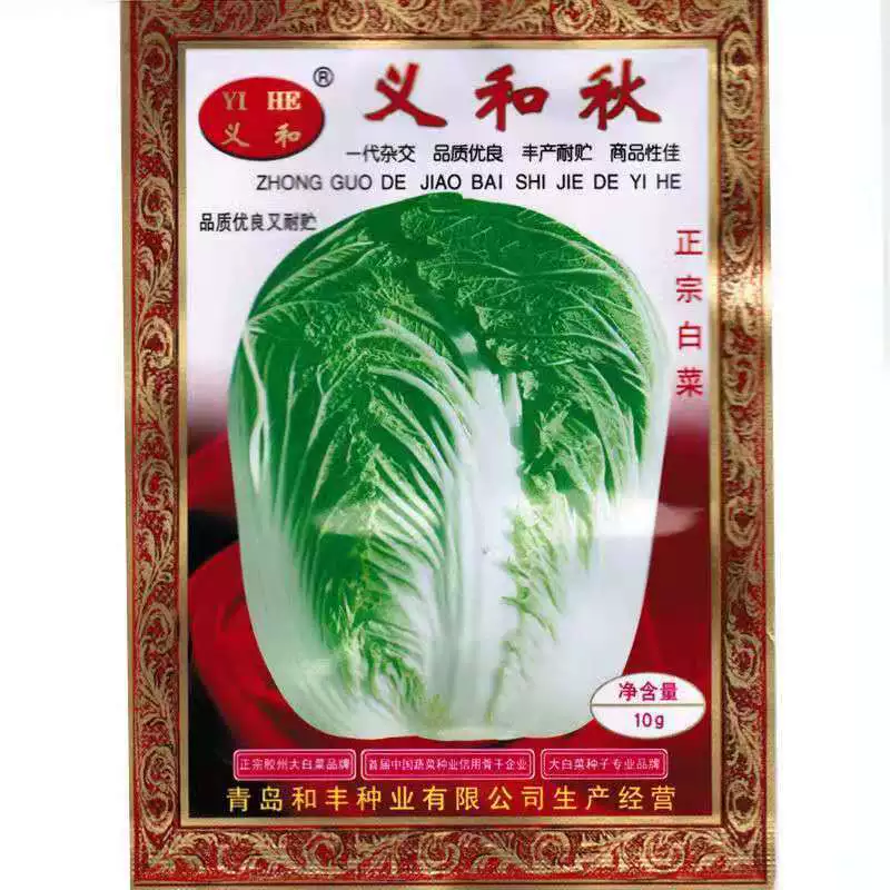 Yihe Осенние семена китайской капусты Xiaoyi и осенние семена китайской капусты Аутентичная китайская капуста Высокоурожайная осенний посев Зимнее хранение на открытом воздухе Бесплатная доставка