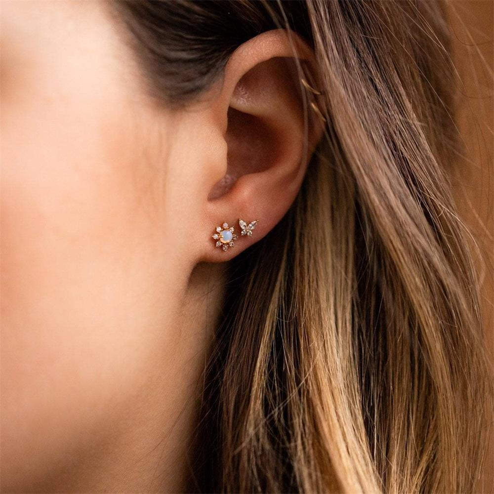 65e776c7418539839ab60383170794