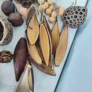 ֲ����Ȼ  �����ɻ����ӿɿ��~  ���� ���J   �[���b� �ҾӲ廨