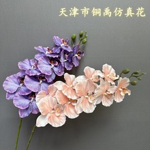 ����9�^�Wʽ�����m�Ӽҿ͏d�b�c�[�����ՔzӰ���߾��^�ٻ�