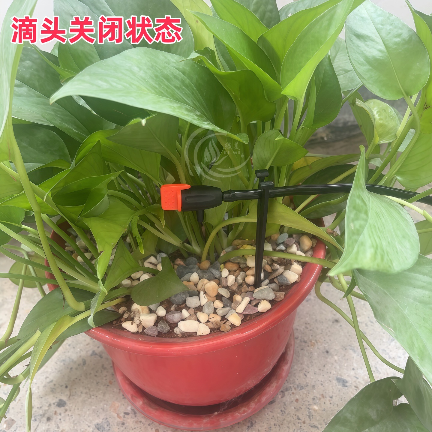 滴头喷洒图3_副本