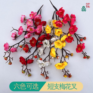 �����ֻ÷���һ��D÷���� �Ҿӿ͏d�ٻ�����b�С��÷ ���S���l