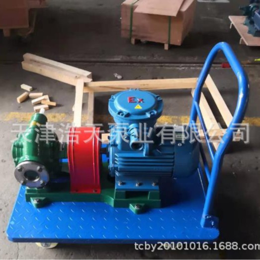 应急齿轮泵TDCY 机油 柴油 润滑油 胶水树脂 沥青 粘油稠油齿轮泵