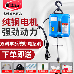 220V 家庭用ポータブルマイクロ電気ホイスト小型小型クレーンワイヤーロープホイスト電気ホイストクレーン