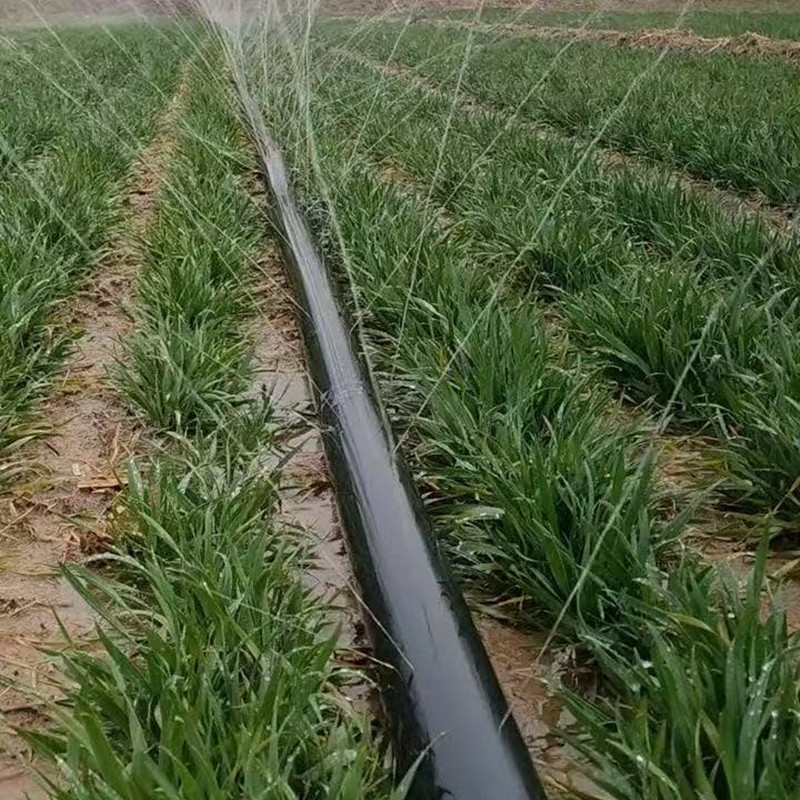Cinturón de riego por goteo agrícola de micro-pulverización de 2000m de agujero único y doble de riego agrícola de 16 parches para invernadero de vegetales image 5