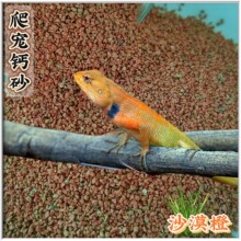 �S�ҹ��������|���ת{�����،mϐ���������B��ƷɳĮ�쾰ɳ