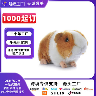 ���޶��Ɓ��R�d�¿��������ë�q��ߔ[����������ż��ͯ�Y��