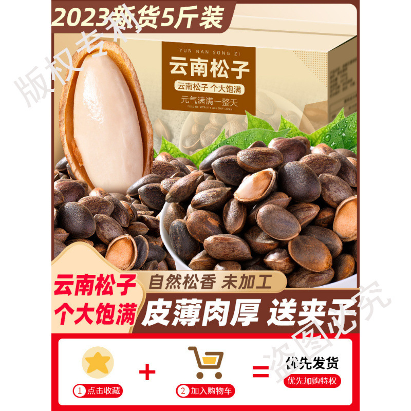 云南生松子散装大颗粒2024新鲜新货孕妇手剥非东北开口松树籽松仁