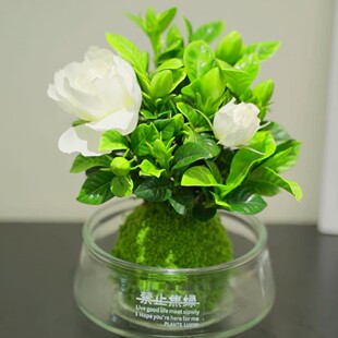 ˮ���d�ӻ���ˮ��ֲ���҃Ⱥ��B�k������Gֲ���Ի����͏d�̨����