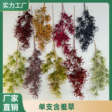 �¿��֧���ϻ����߲ݻ�Y����ꐻ��ܼٻ���c·���廨���滨�b�