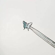 ��ʮ����Ŀ��Ȧ��ɫ������ᔶ��h��С������ᔺ��Gɫˮ�ζ���