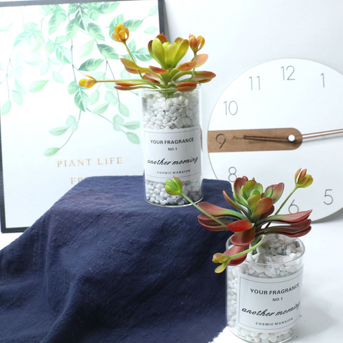 Cross-border blue lotus succulent plant simulation flower wedding succulent family background flower wall photography green plant MW17682