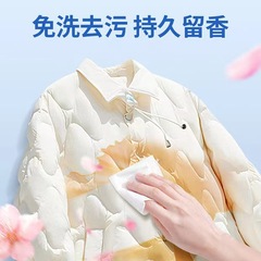 Household Dry Cleaning Portable Dedicated Down Jacket Cleaning Wipes, No-Wash Stain Removal Wipes, Source Manufacturer Wholesale Dropshipping