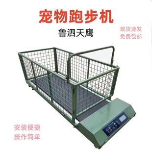 Pet Treadmill for Home Use, Suitable for Large Dogs, Walking Exercise for Greyhound, Whippet, and Small Dogs, Endurance Training, Silent