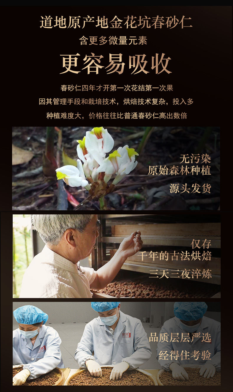Yangchun Amomum Fruit Sha Ren 250g Dried TCM Herb for Decoction and Culinary Use key features