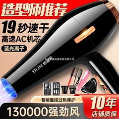 德系电吹风机家用大风力负离子发廊理发店冷热风速干不伤发静音筒