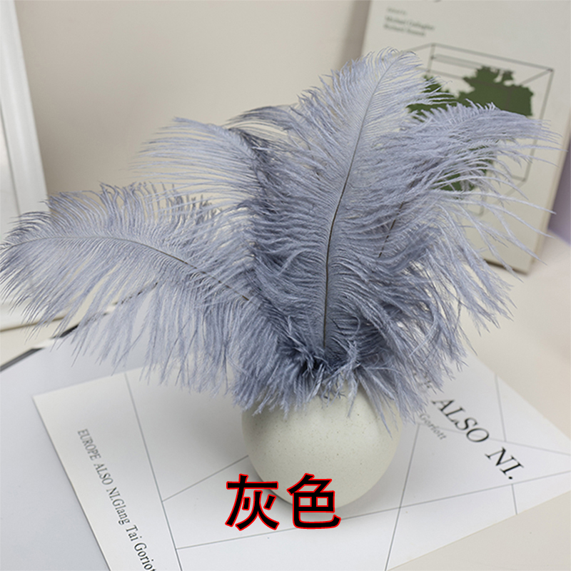 Plumas de avestruz bodas blancas de avestruz guía de plumas accesorios de fotos adornos rojo rosado en línea grandes plumas decoración