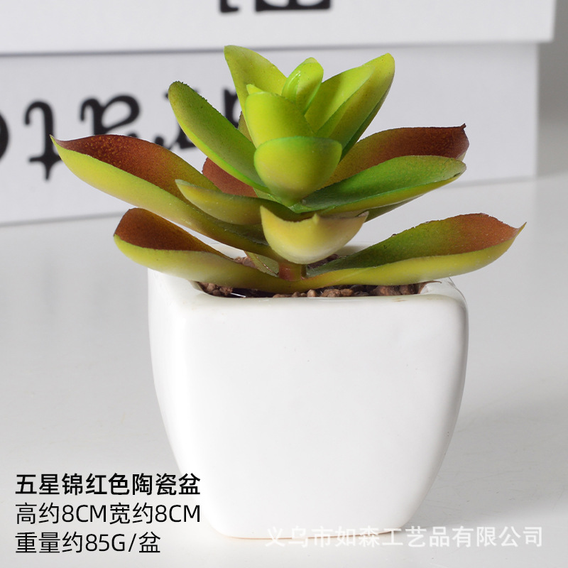 Simulación de cerámica bonsai de carne doméstica decoración de escritorio de oficina plantación verde maceta props de disparo maceta combinada artificial image 43