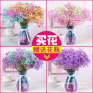 Vase Full of Baby's Breath Dried Flower Bouquet Real Flowers Living Room Natural Decoration Bedroom Decoration Home Flower Arrangement