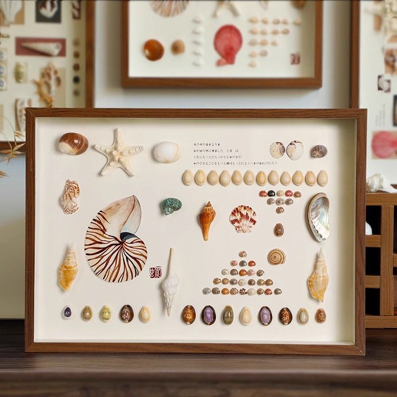 Natural Shell Conch Specimen Hanging Painting Handicraft Ornaments Photo Frame DIY Production Home Creative Decoration Painting Natural Shell Conch Specimen Hanging Painting Handicraft Ornaments Photo Frame DIY Production Home Creative Decoration Painting
