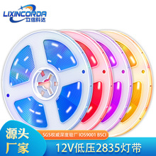 冲量3528软灯带12V滴防水 300灯 七彩RGB 跑马贴片灯条 厂家现货