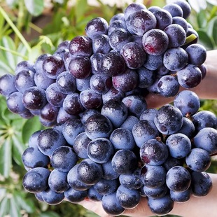 �\�ǟo���ĺ��������r������ˮ��õ���������ЋD�������Ӿ޷���]