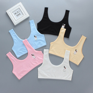 Girls' Bra Development Period Small Vest Tube Top Sling Pure Cotton 14 Underwear Cartoon Double Layer 15 Summer Junior High School Students 12