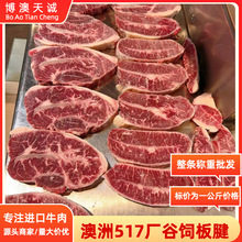 澳洲517厂谷饲牛板腱烤肉店西餐厅日料店食材 冷冻进口牛肉