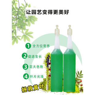 Nutrient Solution for Plants, Universal Household Potted Plants, Money Tree, Rich Bamboo, Pothos, Hydroponic Florals, Green Plants, Flower Growing Fertilizer