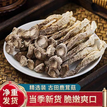 ¹�׹���؛1000g ʳ�þ�����Ģ�� �Ҝ����ʳ�� �Ƶ����������l
