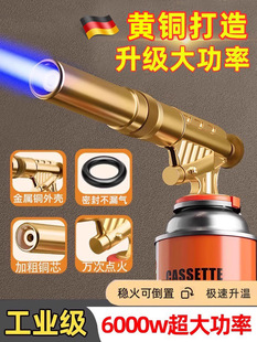 German Household Flame Gun for Roasting Meat, Handheld Cassette Gas Tank Flamethrower for Roasting Pork Skin