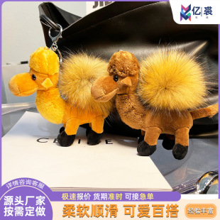 �ɐ�ë�q�������а�������ɐ�ë�q��ż��܇耳׿ے�Y��Ů
