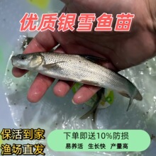 ���|��ˮ�y�L�~�絭ˮ�Bֳ�^�p�~���r��ʳ�ô��[?���^��?�y�L�~