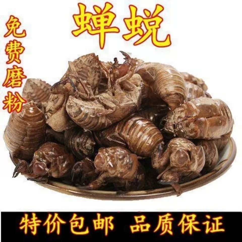 蝉蜕100克包邮金蝉壳知了壳皮蝉衣虫蜕知了猴壳爬蚱皮精品